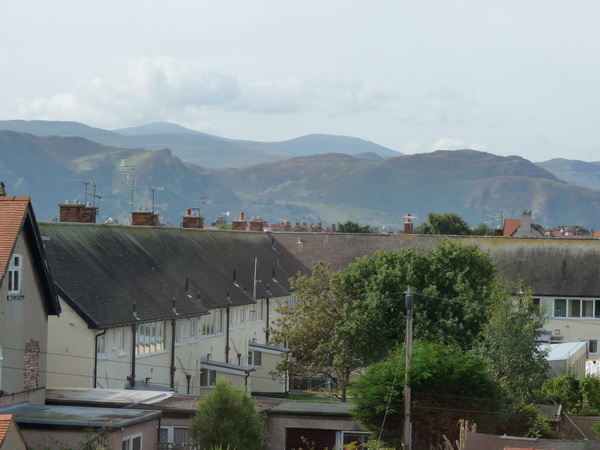 View from Room 4 window